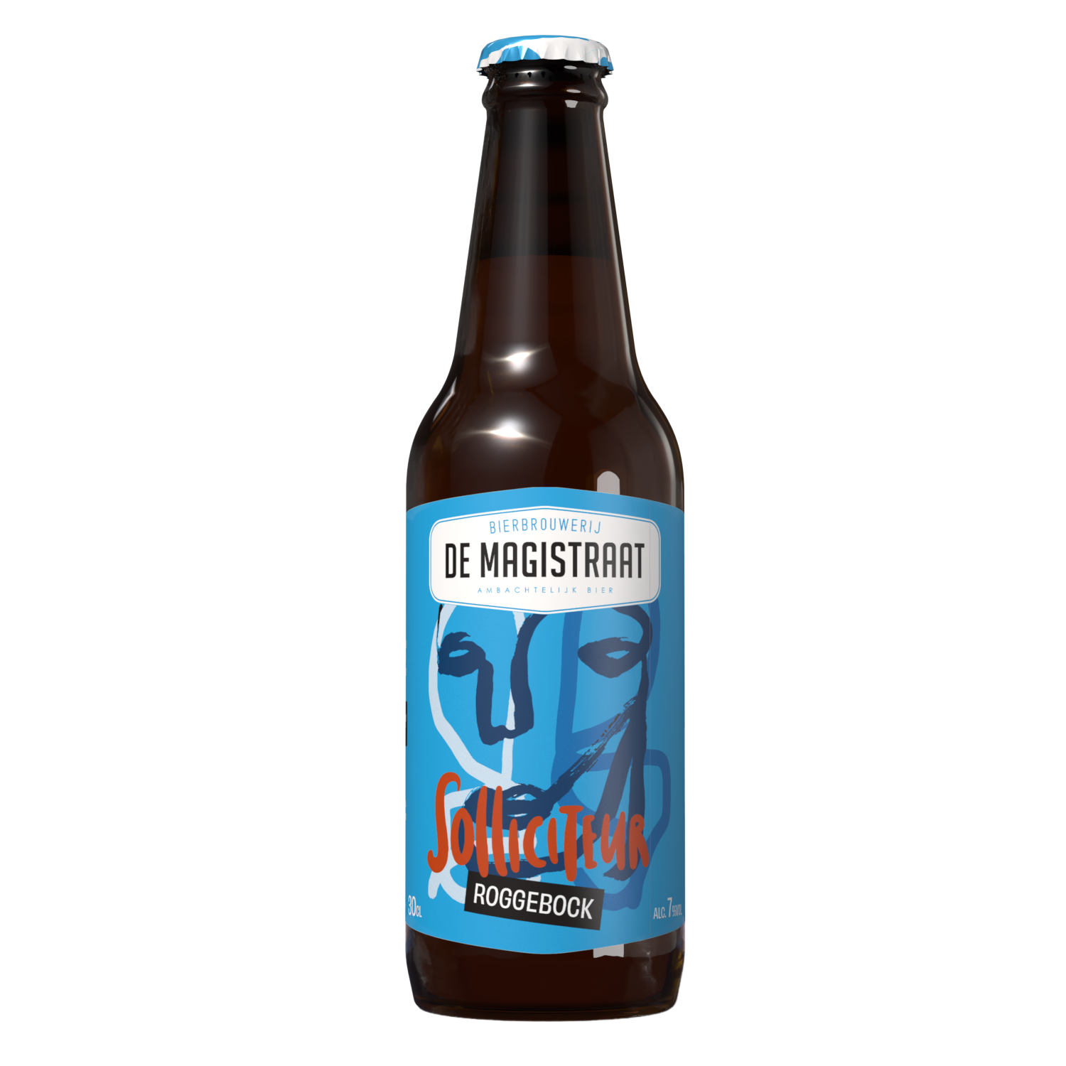 De Magistraat Solliciteur