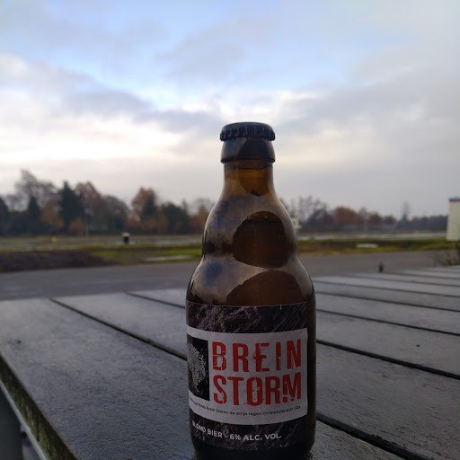 Jessenhofke Brein Storm
